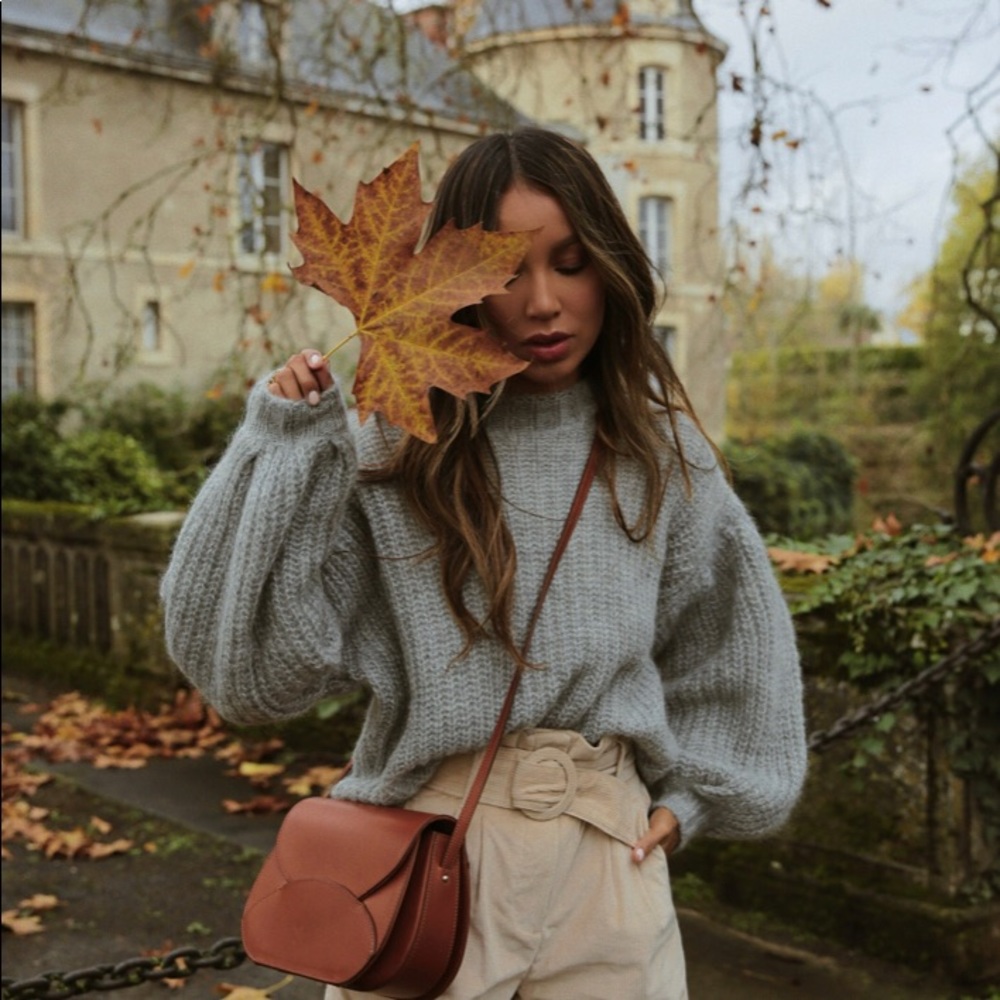 SOLD (on another platform) ✨Sézane Olric Pull✨